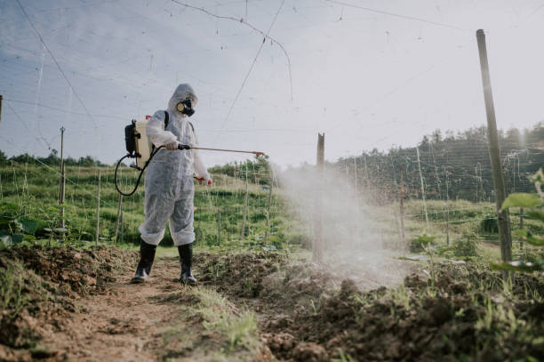 Best Ant Control Services  in Blanchard, OK