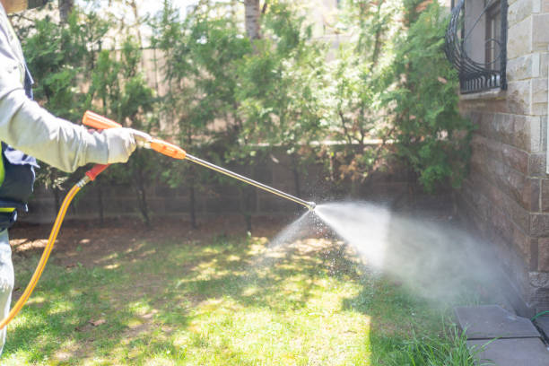 Flea Control Services in Blanchard, OK