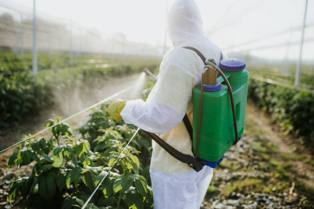 Trusted Blanchard, OK Pest Control Experts